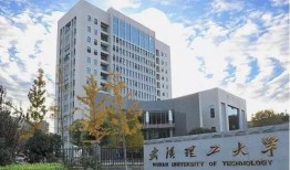 武汉学校爆料新闻最新,真相揭秘，校园安全再引关注